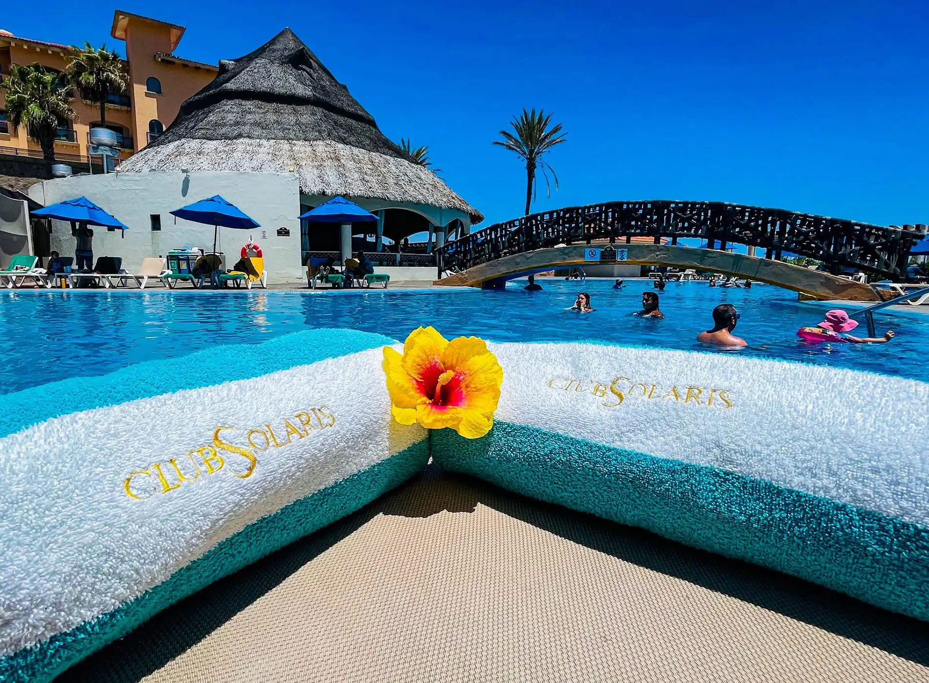 Pool with a palapa bar and a bridge over the water